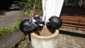 Helme