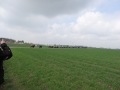 DSC03980