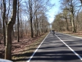 DSC02179.JPG