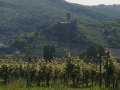 20170603_105252 -BlickAus_Elenz-Poltersdorf