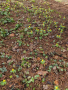 04-der-fruehling-ist-da